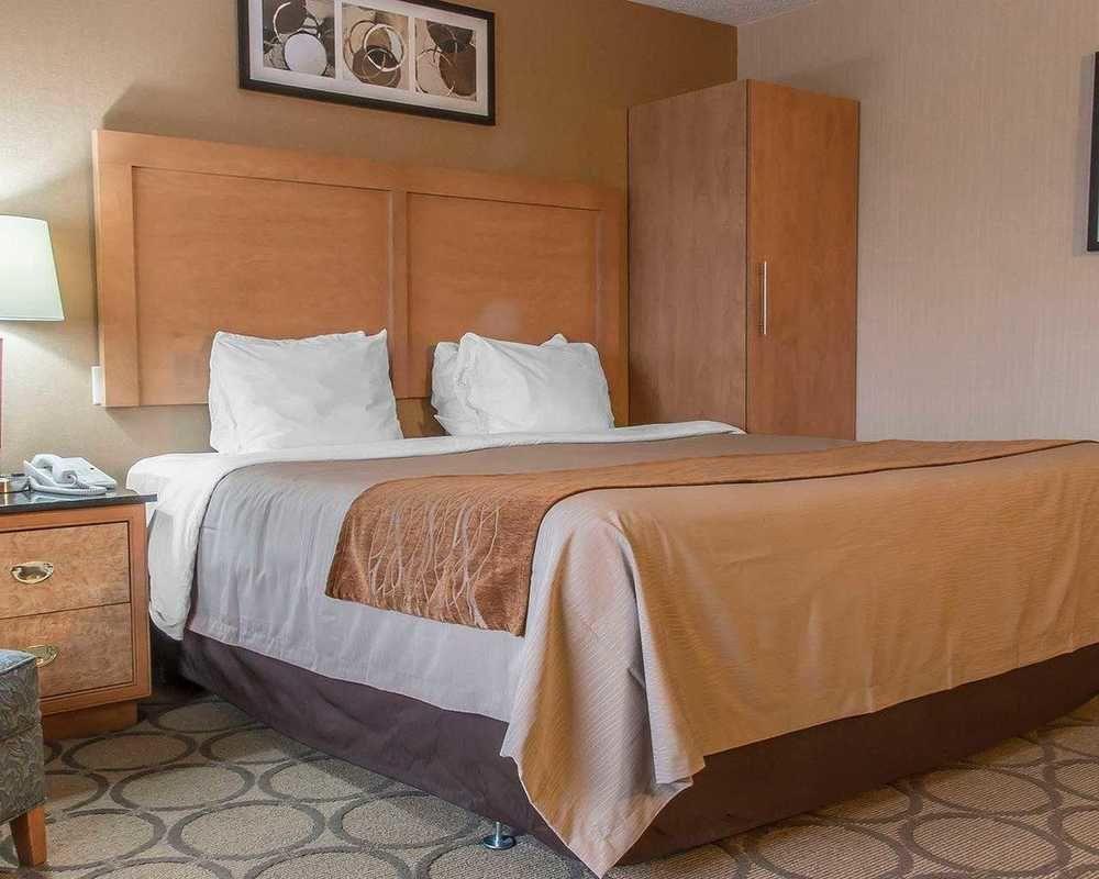 Comfort Inn Θάντερ Μπέι Εξωτερικό φωτογραφία