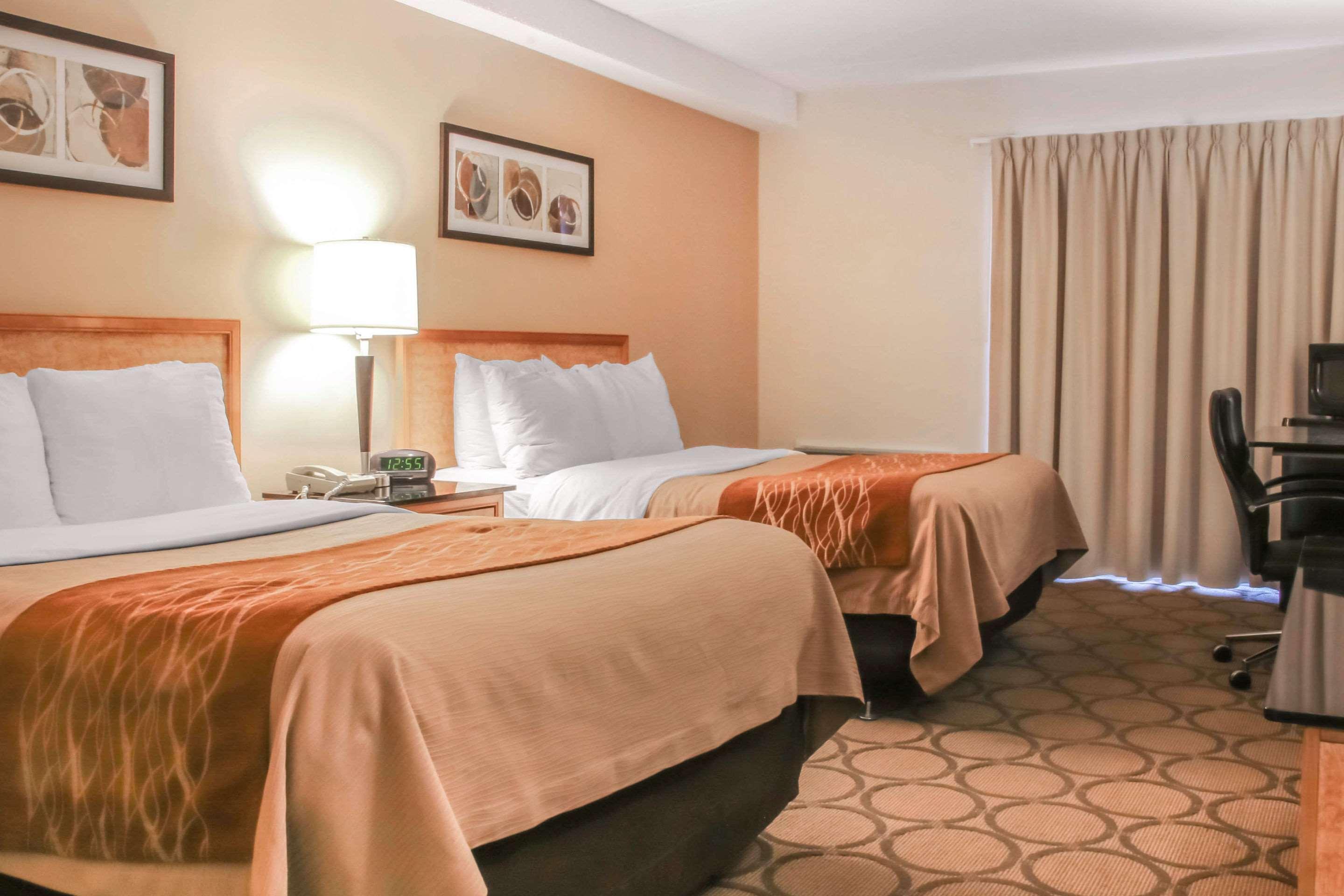 Comfort Inn Θάντερ Μπέι Εξωτερικό φωτογραφία