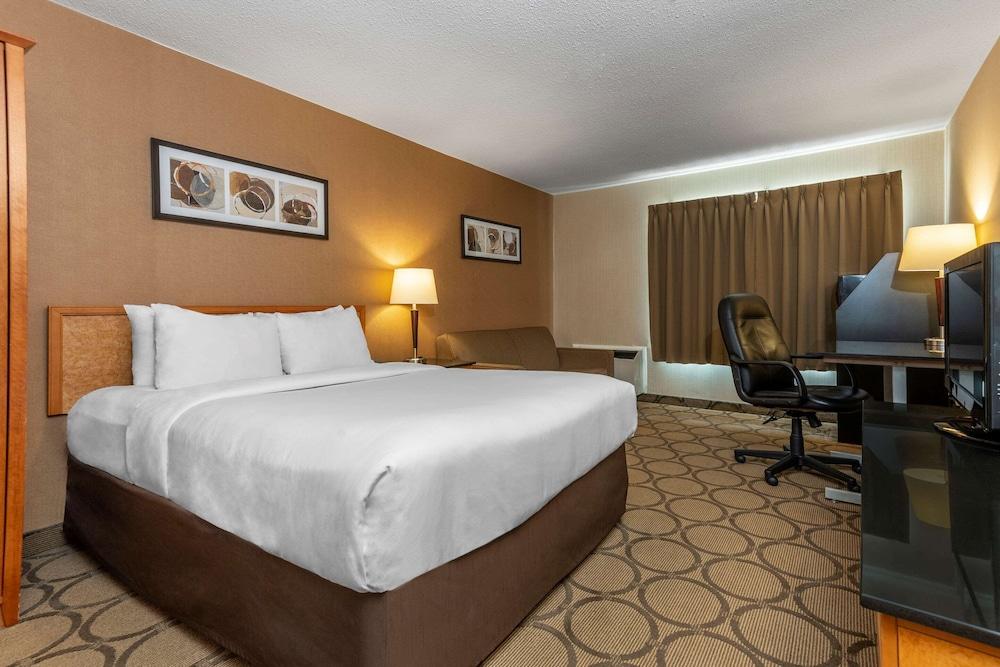 Comfort Inn Θάντερ Μπέι Εξωτερικό φωτογραφία