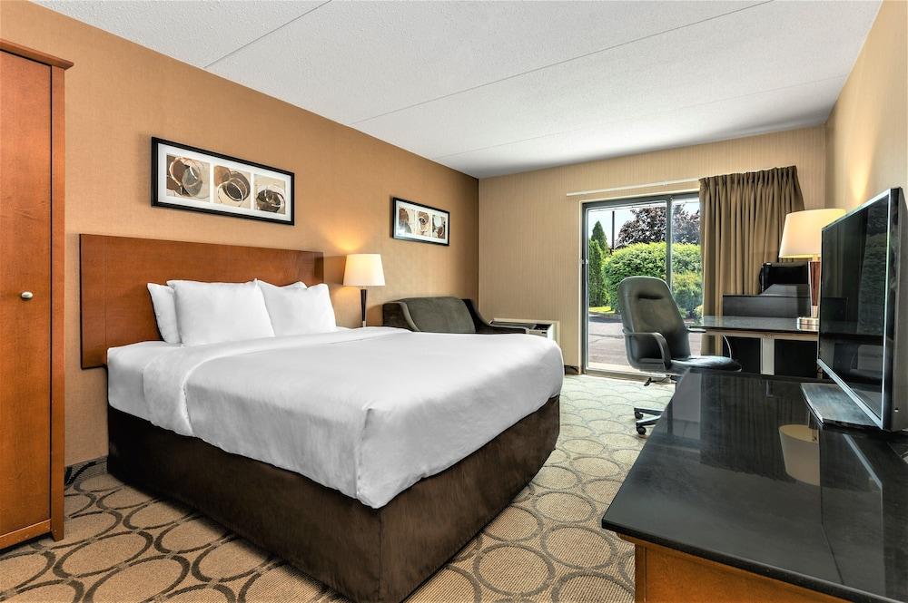 Comfort Inn Θάντερ Μπέι Εξωτερικό φωτογραφία